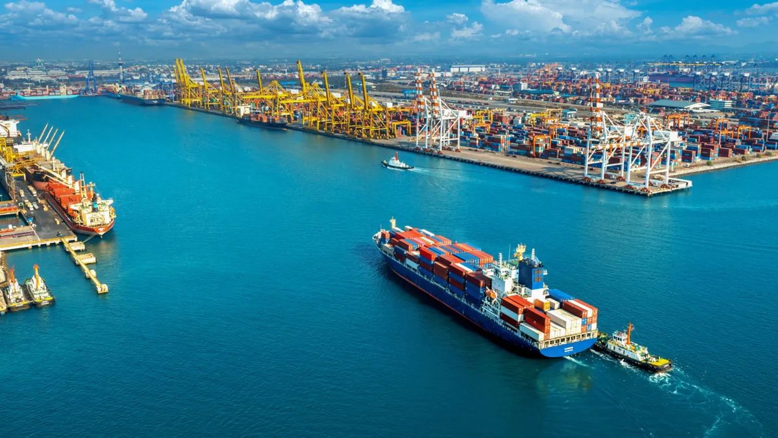 MSC приостановила прием заказов на перевозки через Новороссийск
